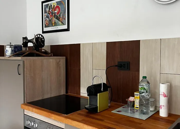 Gemuetliches Apartment Am Donau-Radweg -5 Km Von Passau